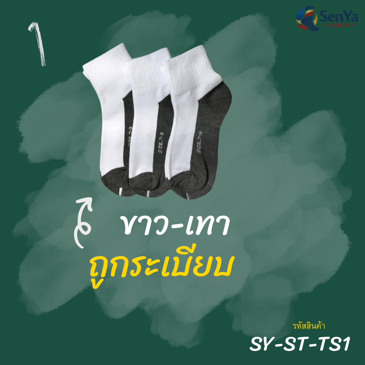 SY-ST-TS1